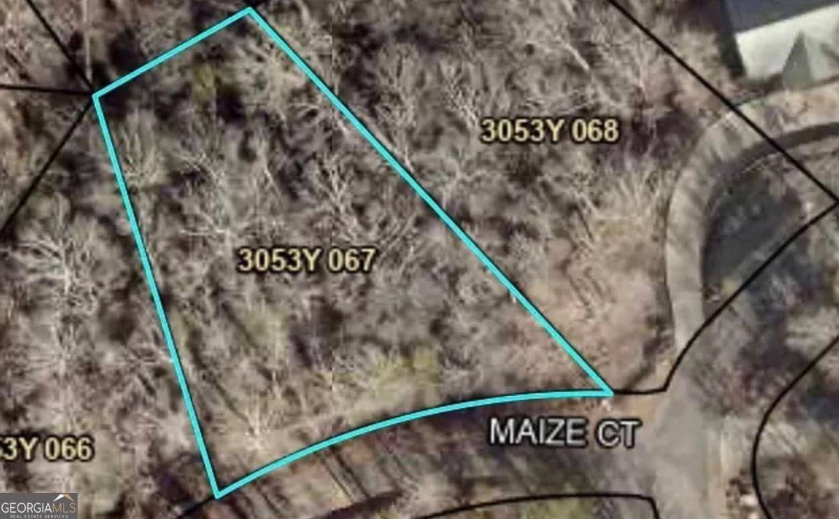 Ellijay, GA 30540,LOT 1185 Maize CT