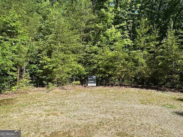 Ellijay, GA 30536,LOT 6 Marjorie AVE