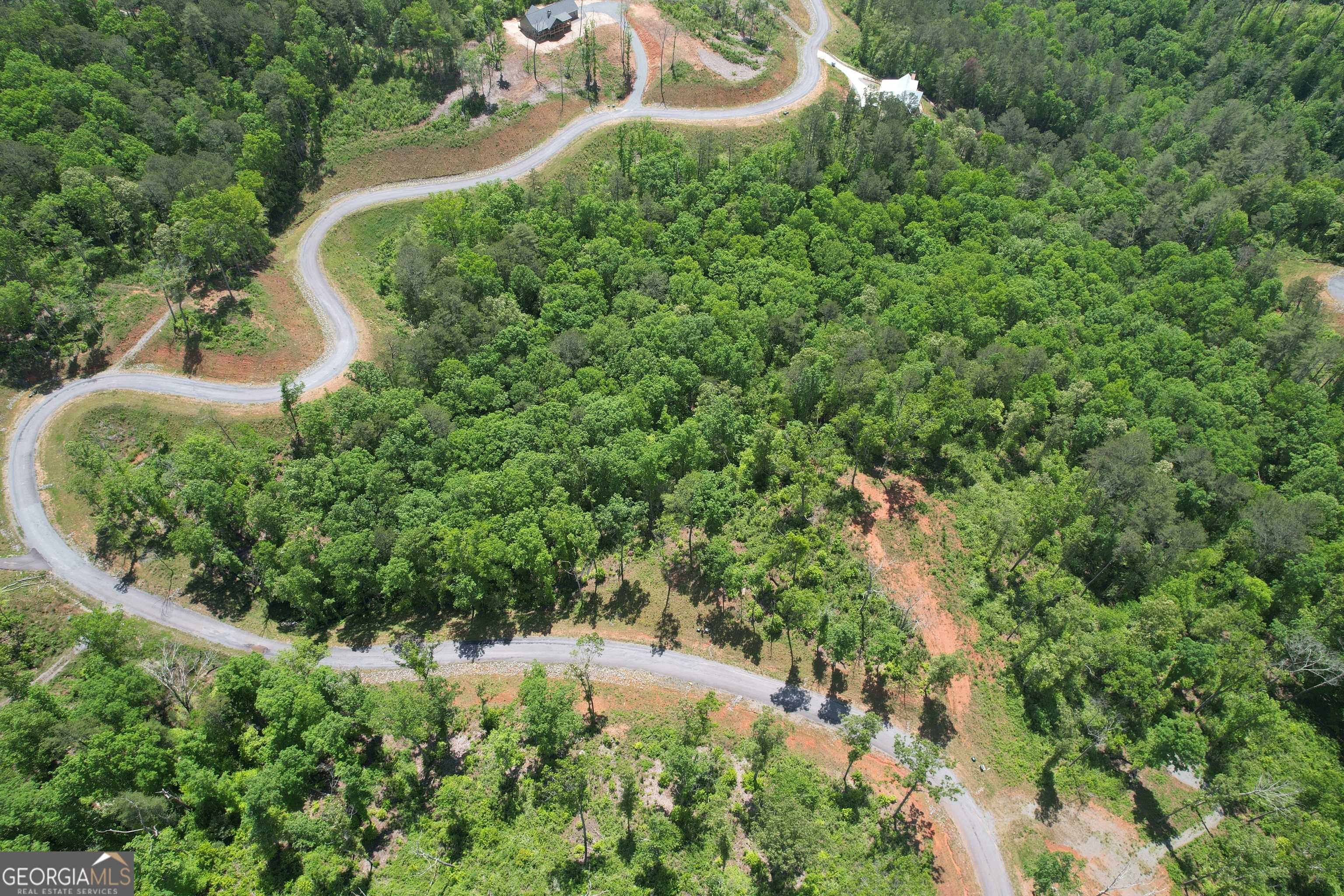 Ellijay, GA 30540,LOT 179 Canoe Pt