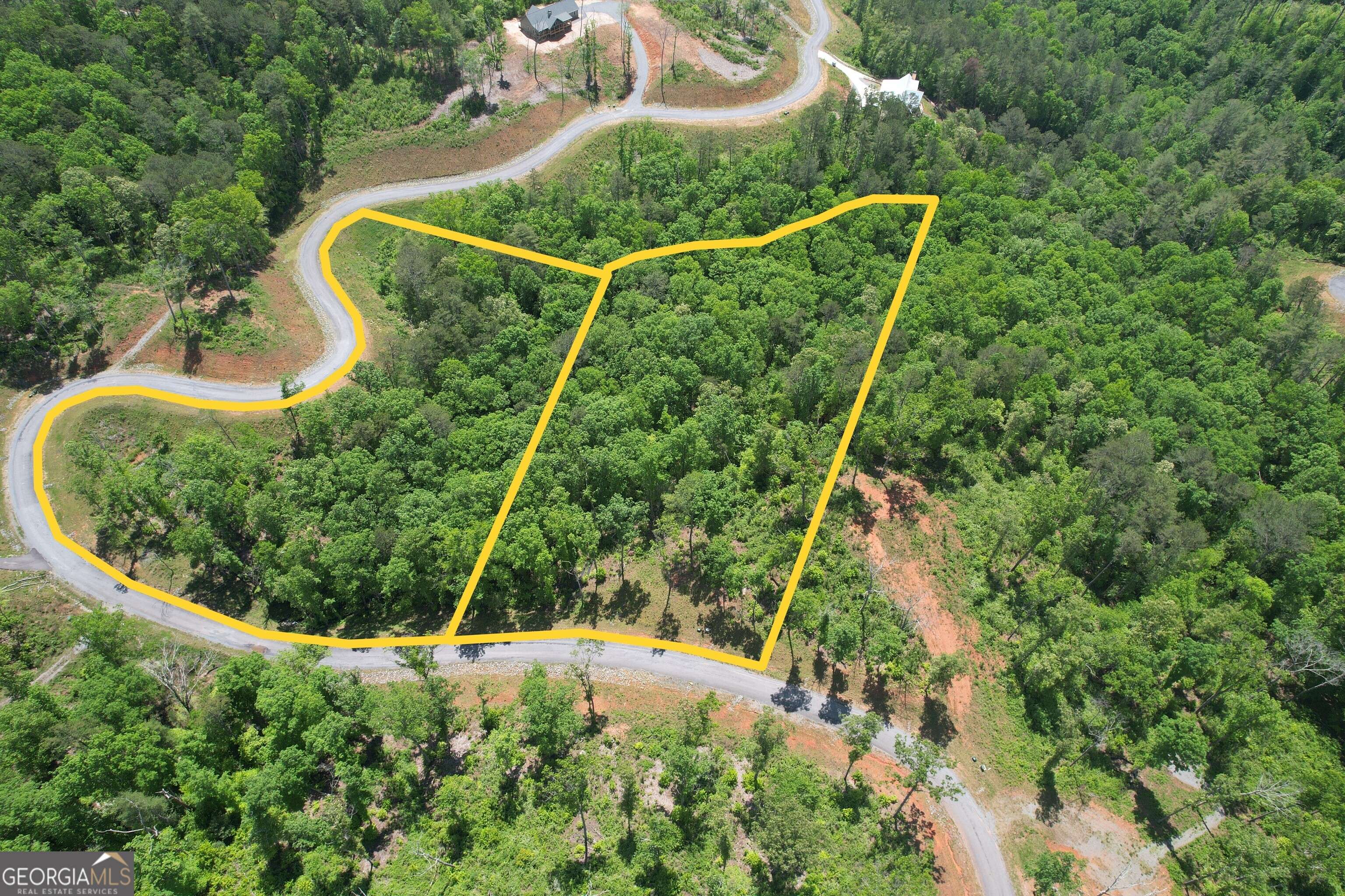 Ellijay, GA 30540,LOT 179 Canoe Pt