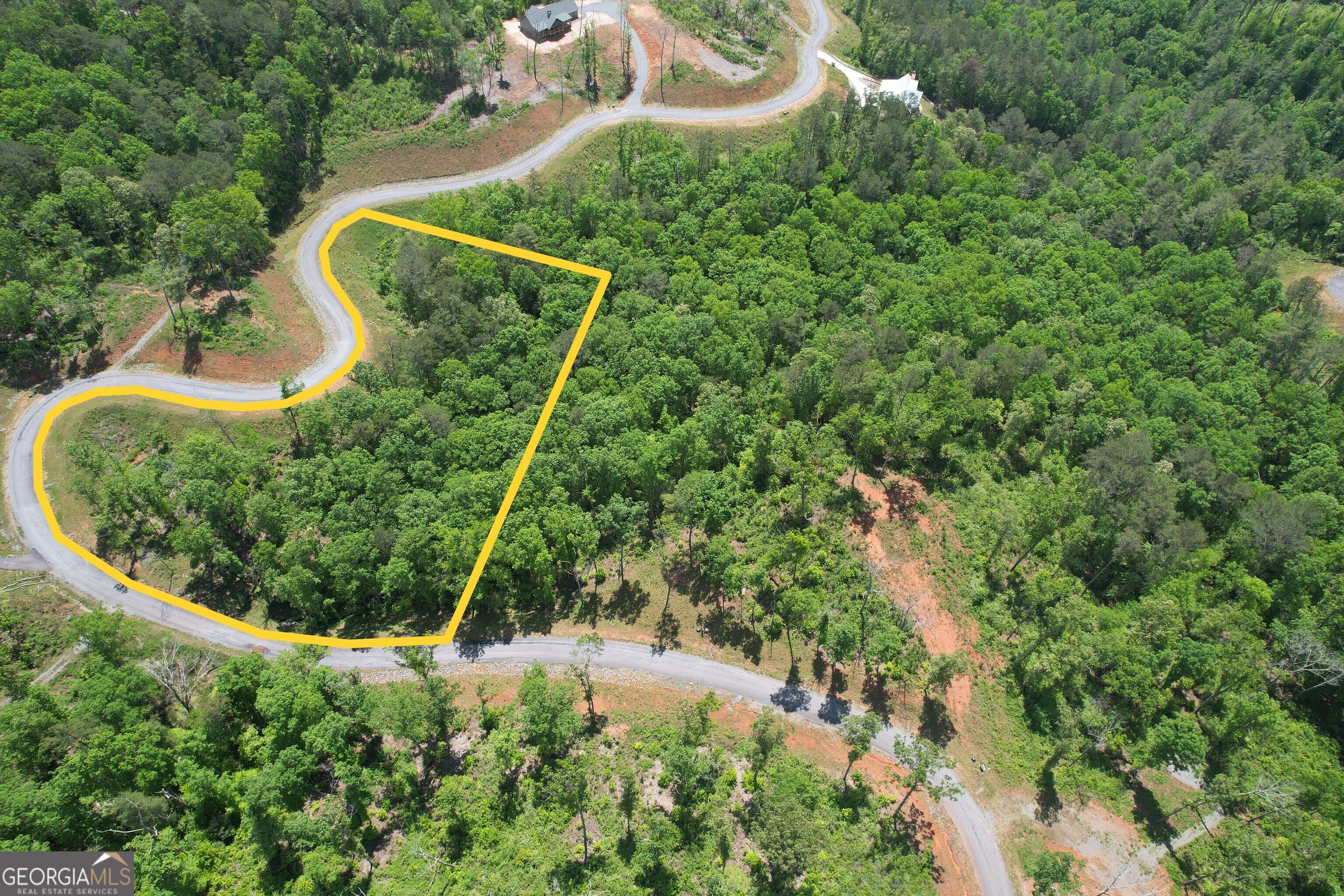 Ellijay, GA 30540,LOT 179 Canoe Pt