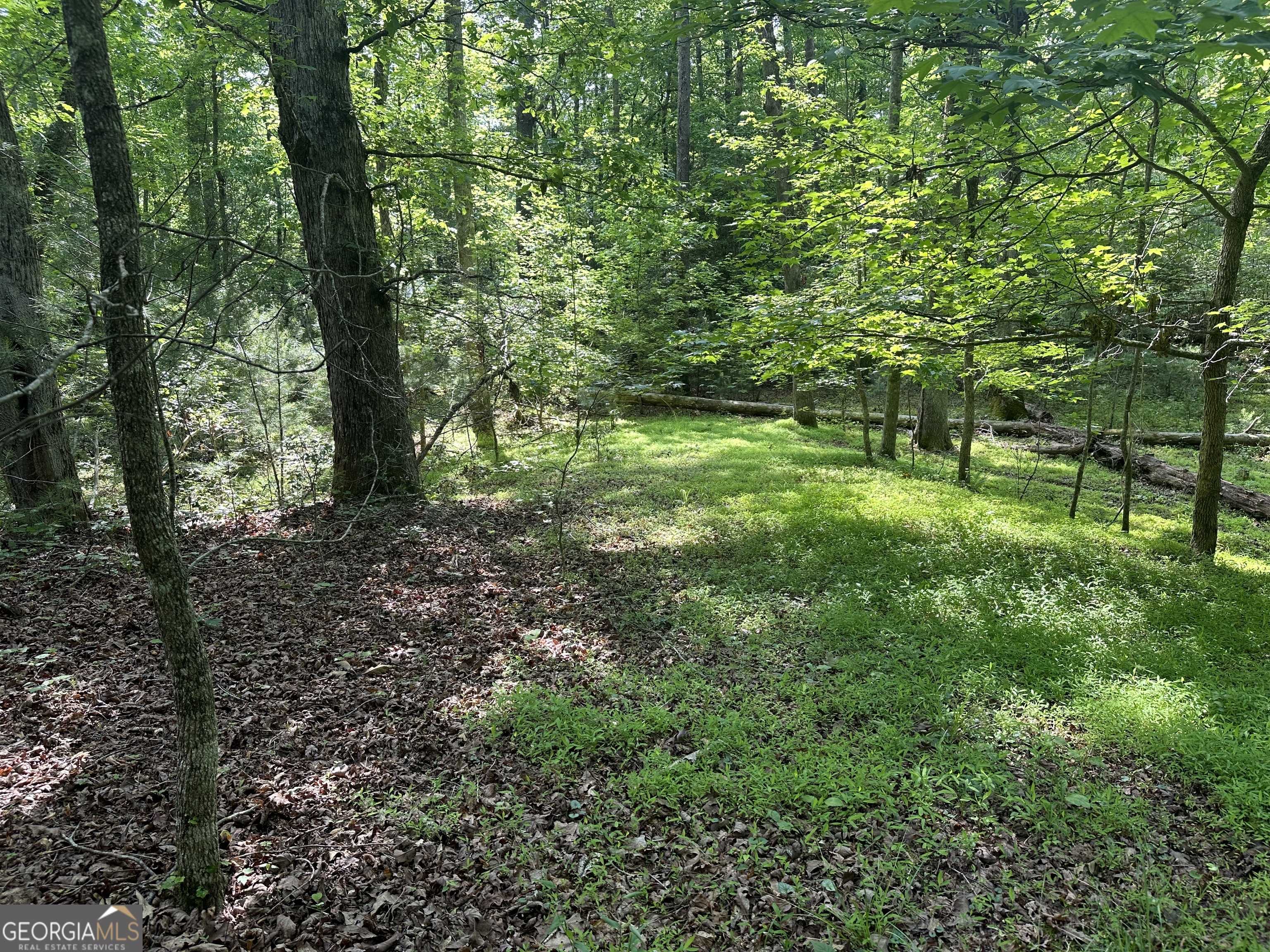 Clarkesville, GA 30523,0 Chattahoochee Glen RD #LOT 33