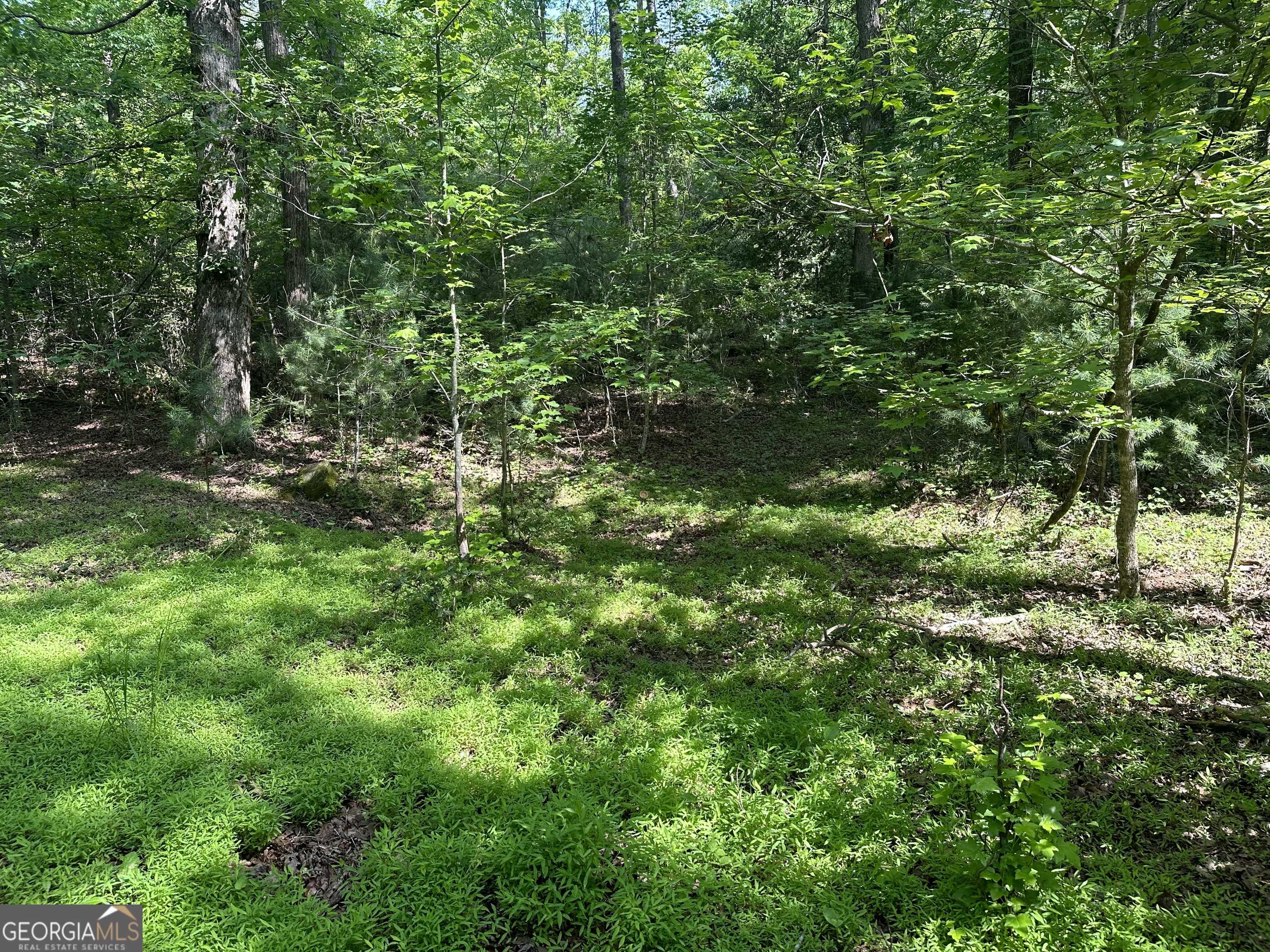 Clarkesville, GA 30523,0 Chattahoochee Glen RD #LOT 33