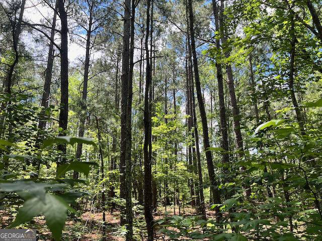 Davisboro, GA 31018,87.12 AC Salter RD