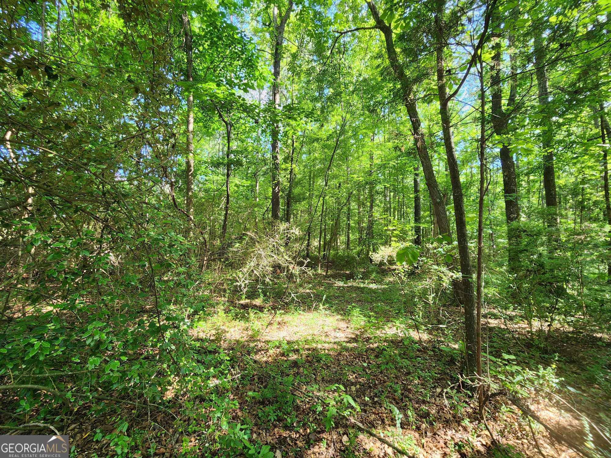 Milner, GA 30257,00 Russell Road Tract 2