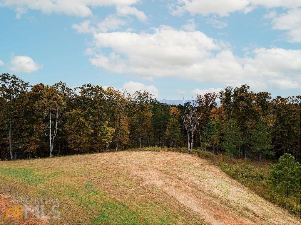 Ellijay, GA 30540,0 High River RD