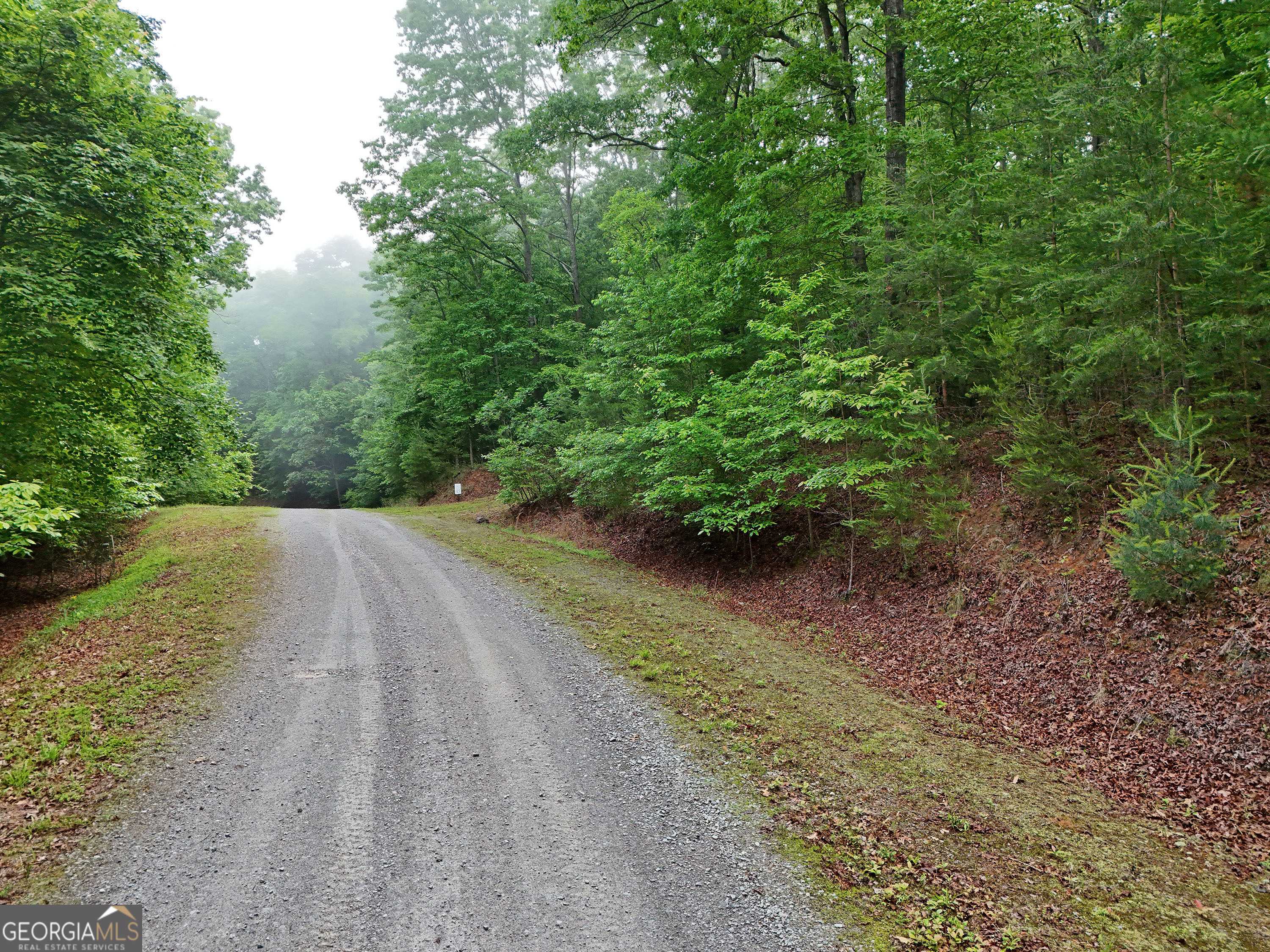 Blue Ridge, GA 30513,LOT 45 Cascading Brook LN