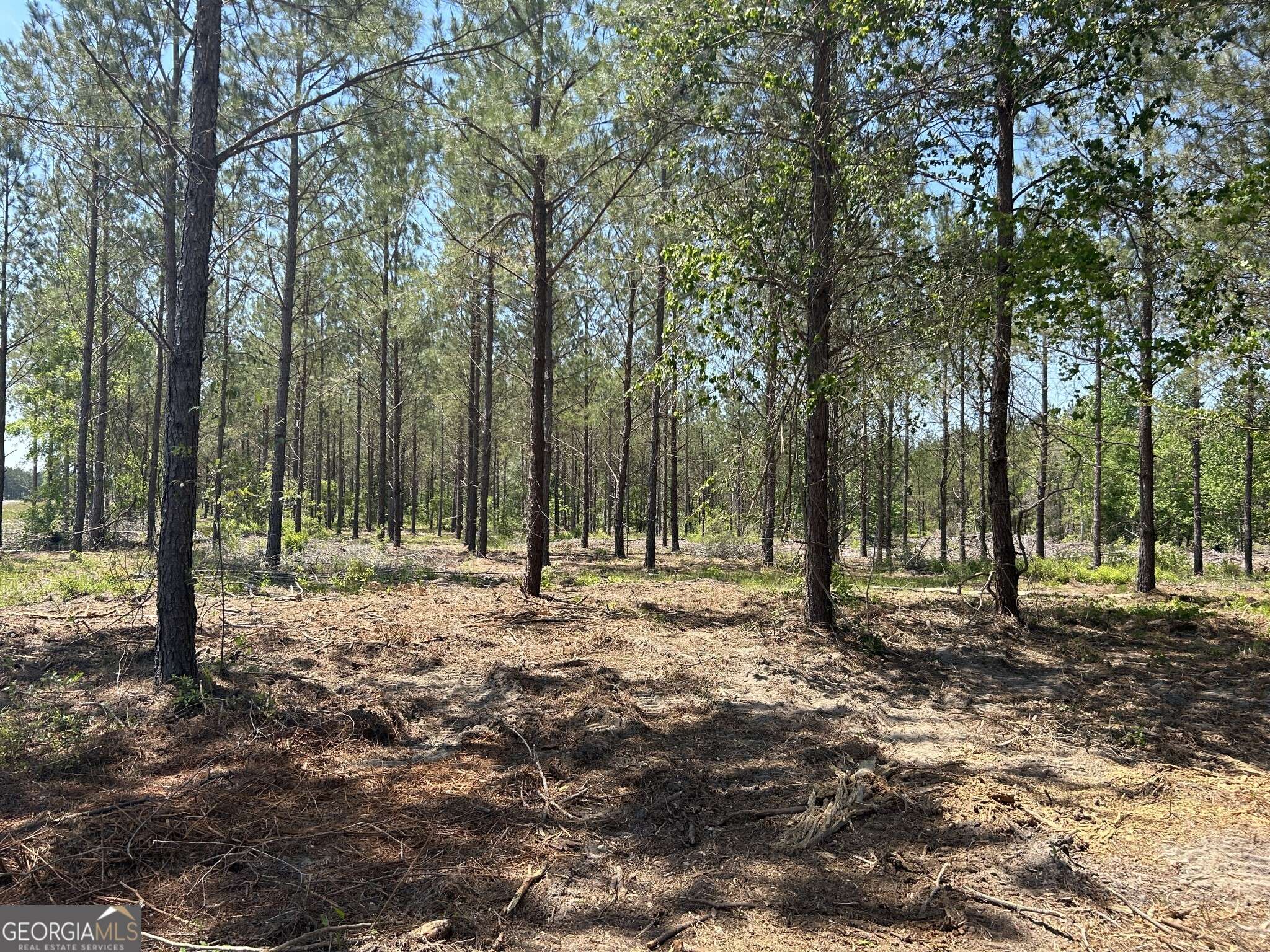 Dexter, GA 31019,0 Dewey Thomas RD #LOT 7