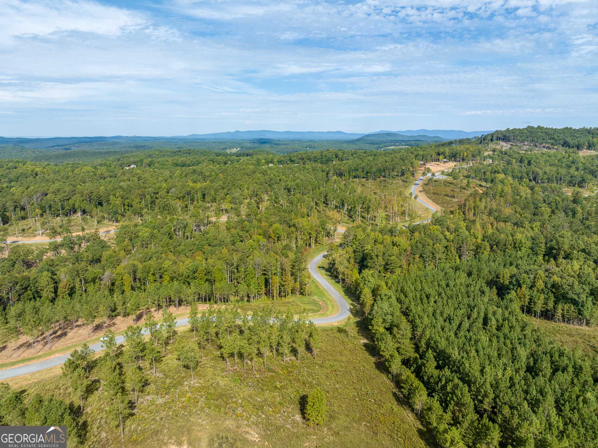 Talking Rock, GA 30175,LOT 299 Twisted Oak Rd