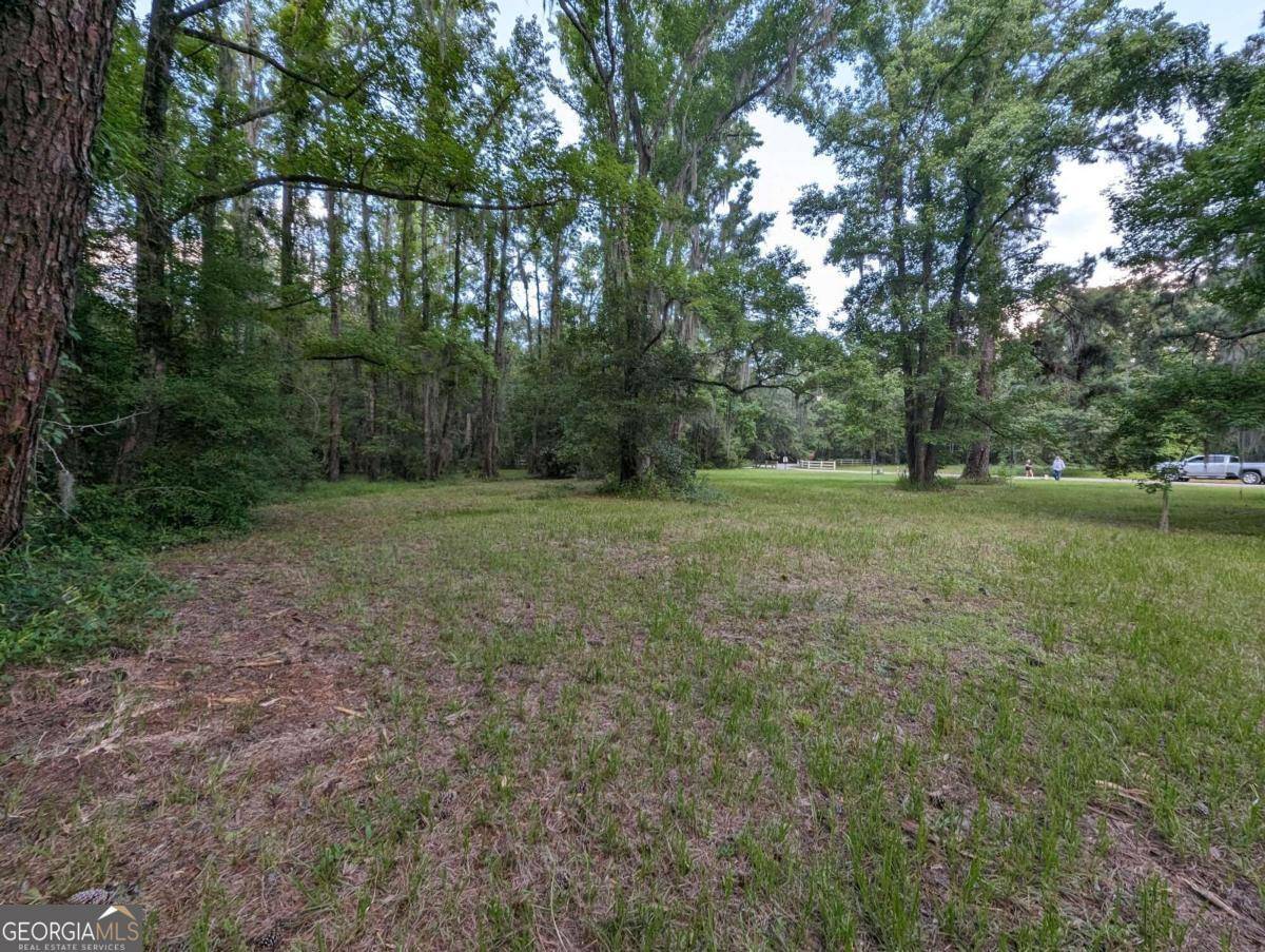 White Oak, GA 31568,2 Hopewell Point RD