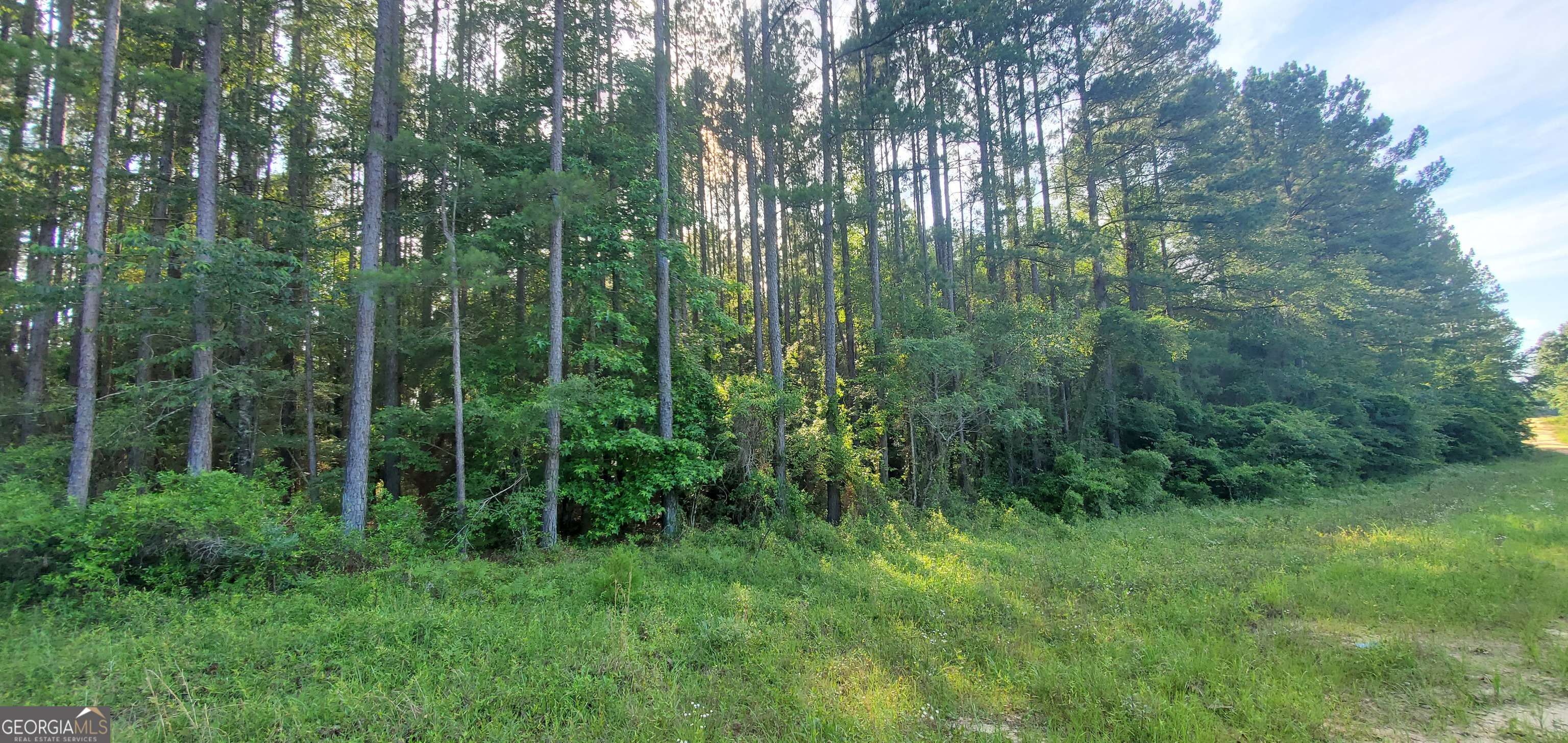 Lyons, GA 30436,0 Southside DR #1.00 AC-SOUTHSIDE DR-PARC