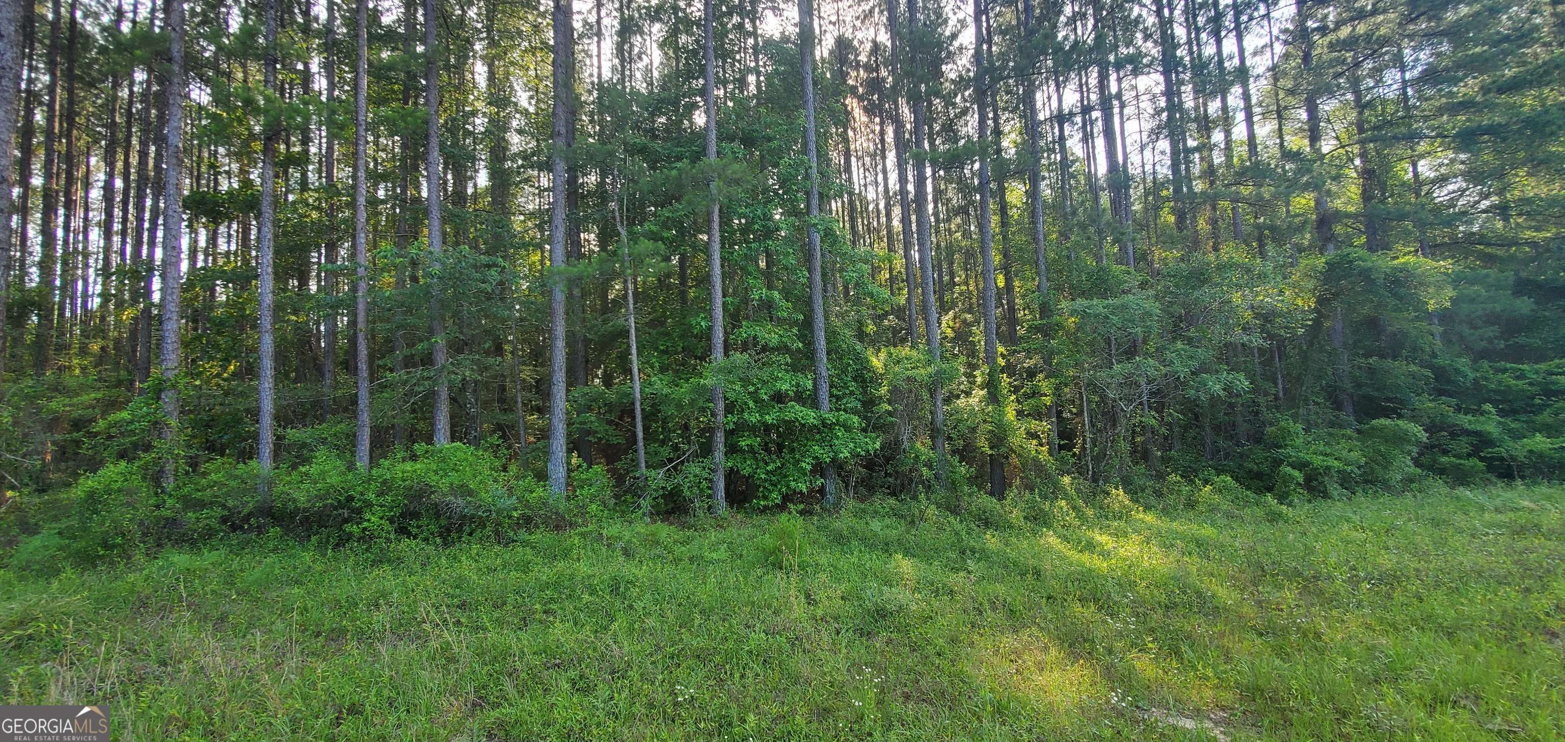 Lyons, GA 30436,0 Southside DR #1.00 AC-SOUTHSIDE DR-PARC