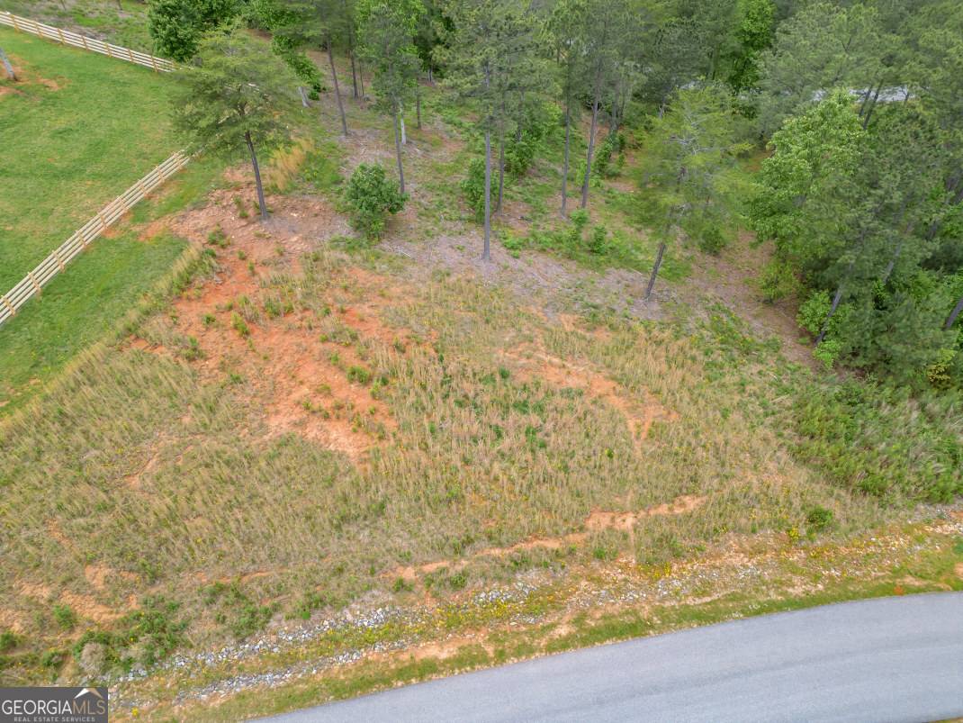 Blairsville, GA 30512,LOT 285 The Cove @ 1300