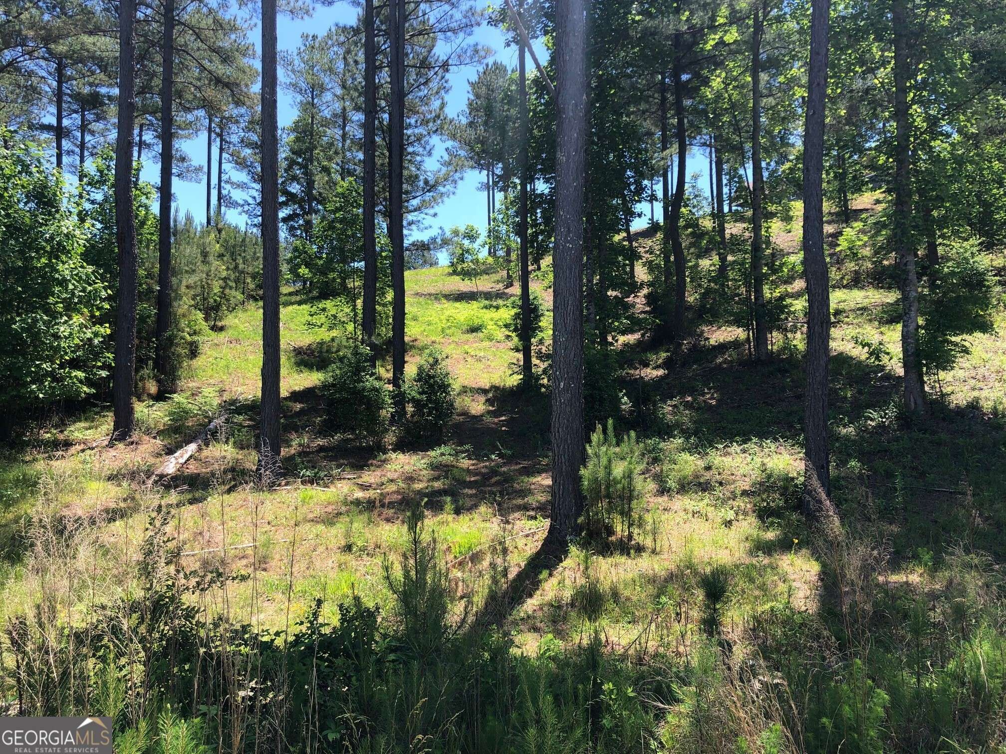 Blairsville, GA 30512,LOT 285 The Cove @ 1300