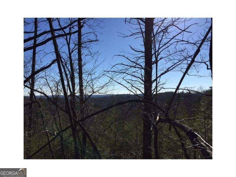 Dahlonega, GA 30533,LOT #26 Placer Mining RD