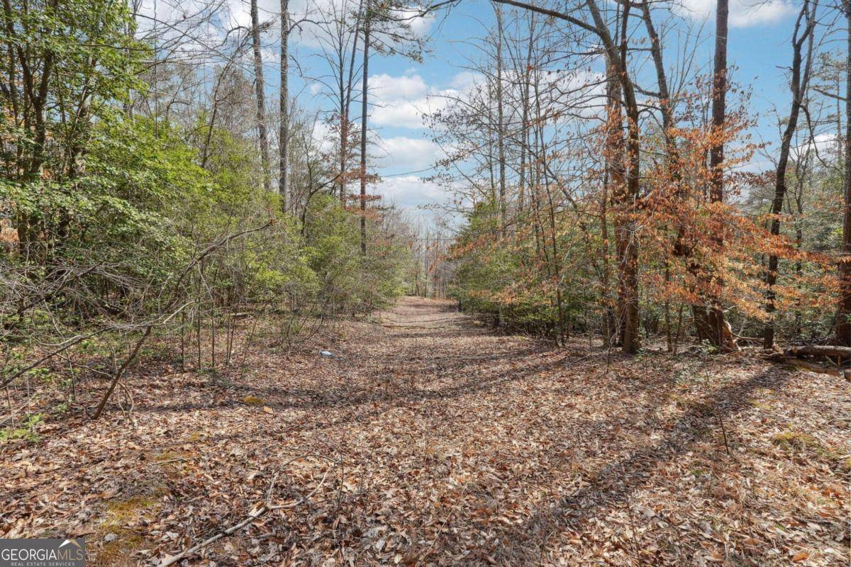 Dahlonega, GA 30533,01 Kate Road