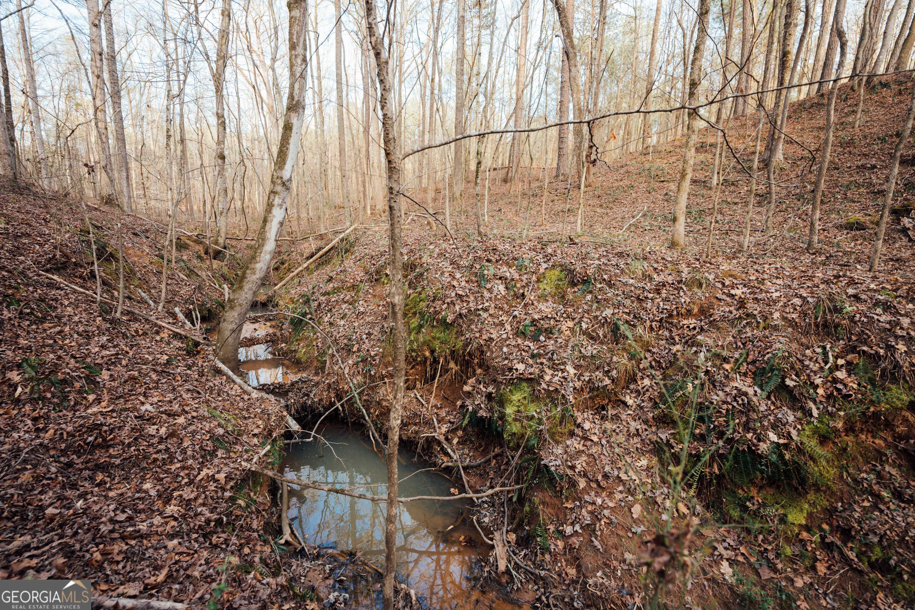 Madison, GA 30650,28.61 ACRES Sandy Creek RD