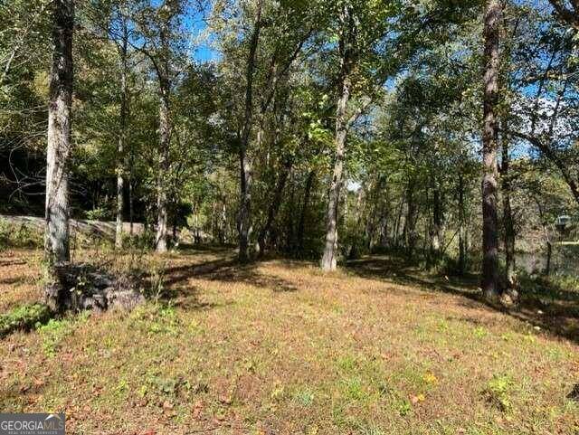 Blue Ridge, GA 30513,LOT 1 Kelly's Point Dr