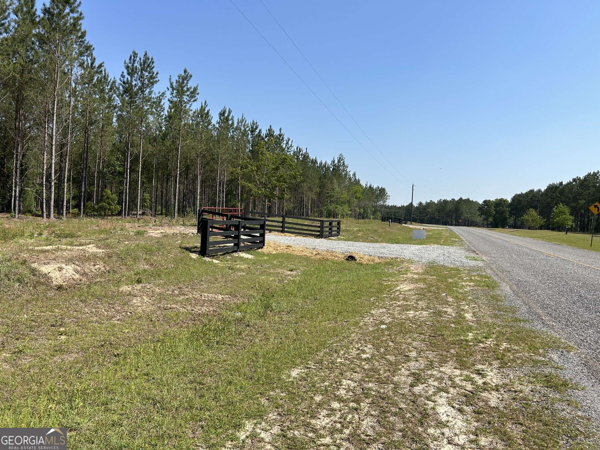 Dexter, GA 31019,0 Dewey Thomas RD #LOT 12