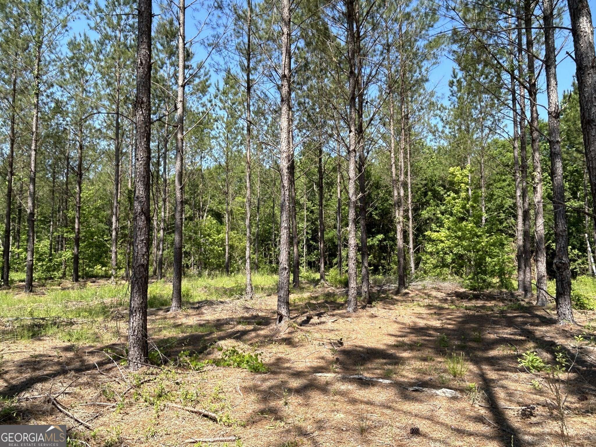 Dexter, GA 31019,0 Dewey Thomas RD #LOT 13