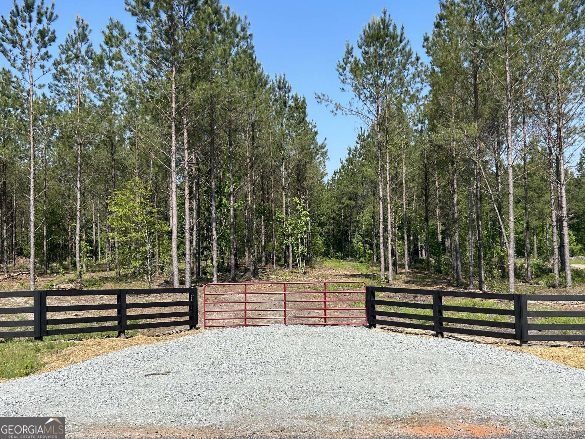 Dexter, GA 31019,0 Dewey Thomas RD #LOT 14