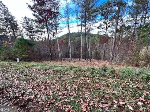 Blairsville, GA 30512,LT 62 Ridge Peak VW #LOT 62