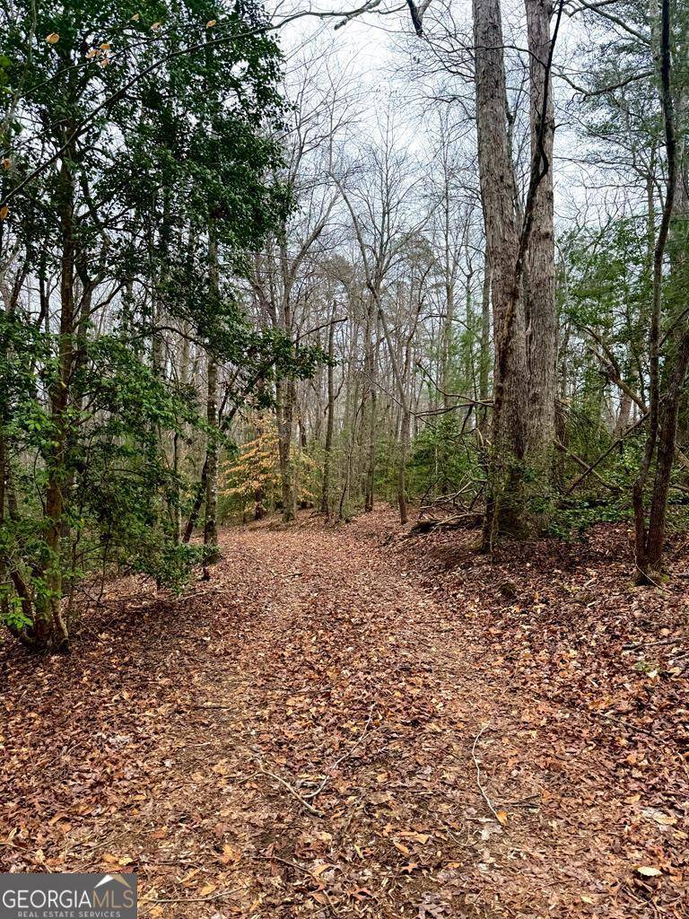 Ellijay, GA 30536,8.03 AC E New Hope