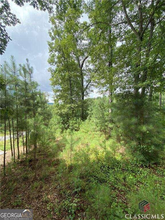 Blairsville, GA 30512,0A Katherine RD