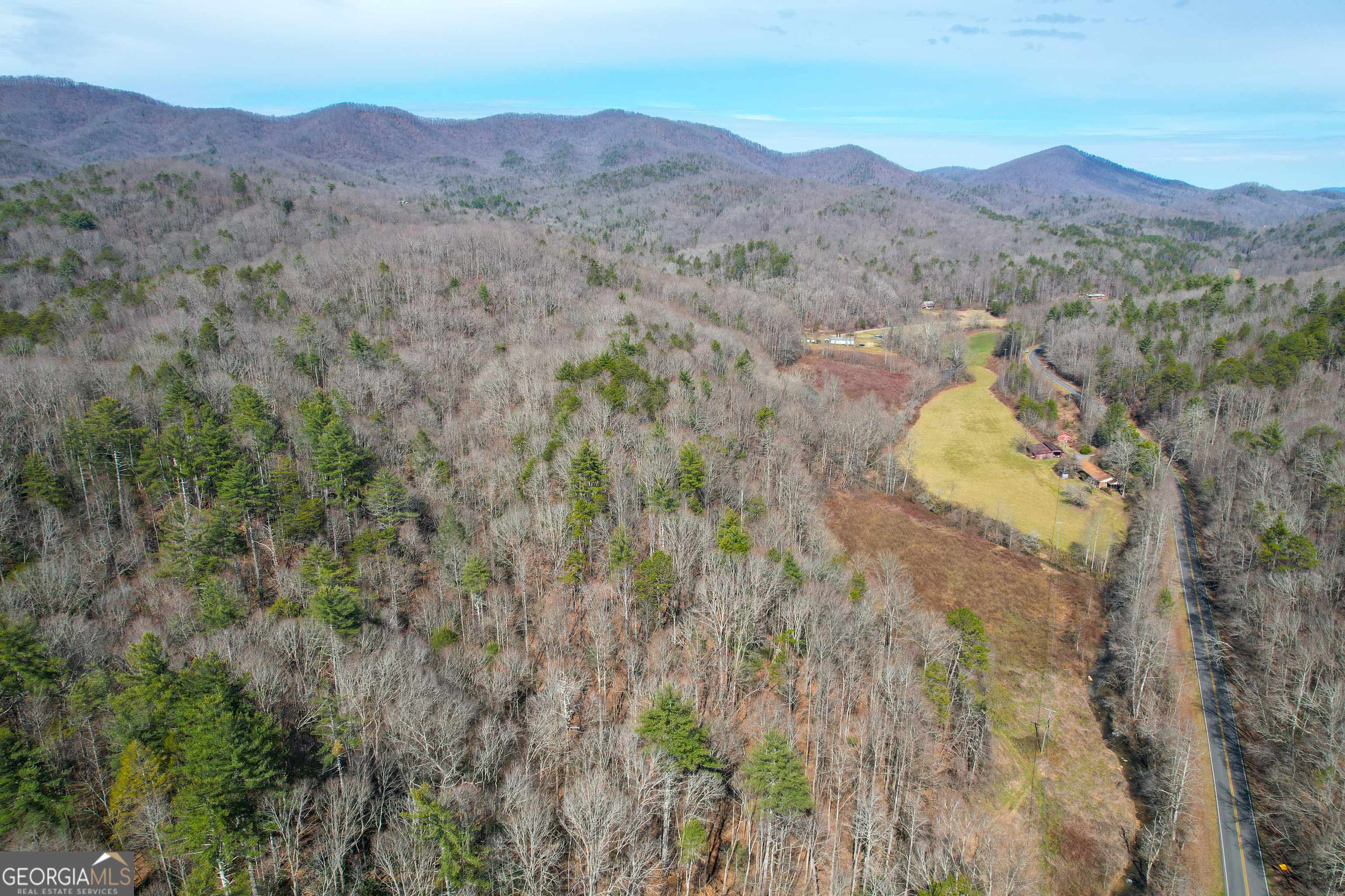 Cherry Log, GA 30522,0 Boardtown Road - TRACT 1