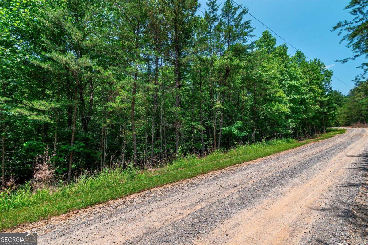 Mineral Bluff, GA 30559,3.35AC Pine LN