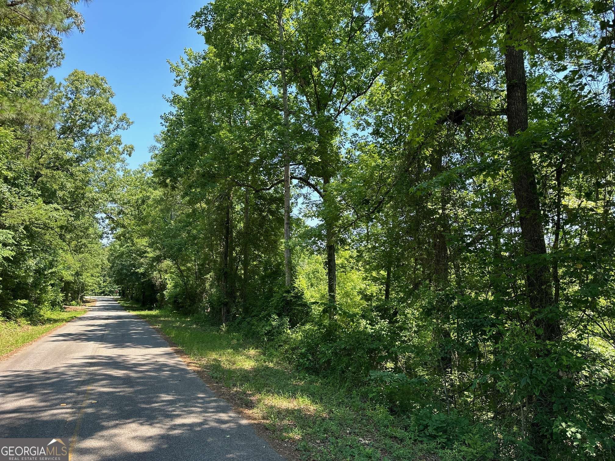 Culloden, GA 31016,11.04 AC Highway 80