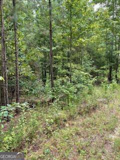 Eastman, GA 31023,0 Robert Rozier Rd ( Lot E)