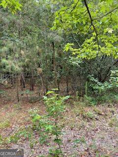 Eastman, GA 31023,0 Robert Rozier Rd ( Lot E)