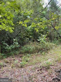 Eastman, GA 31023,0 Robert Rozier Rd ( Lot E)