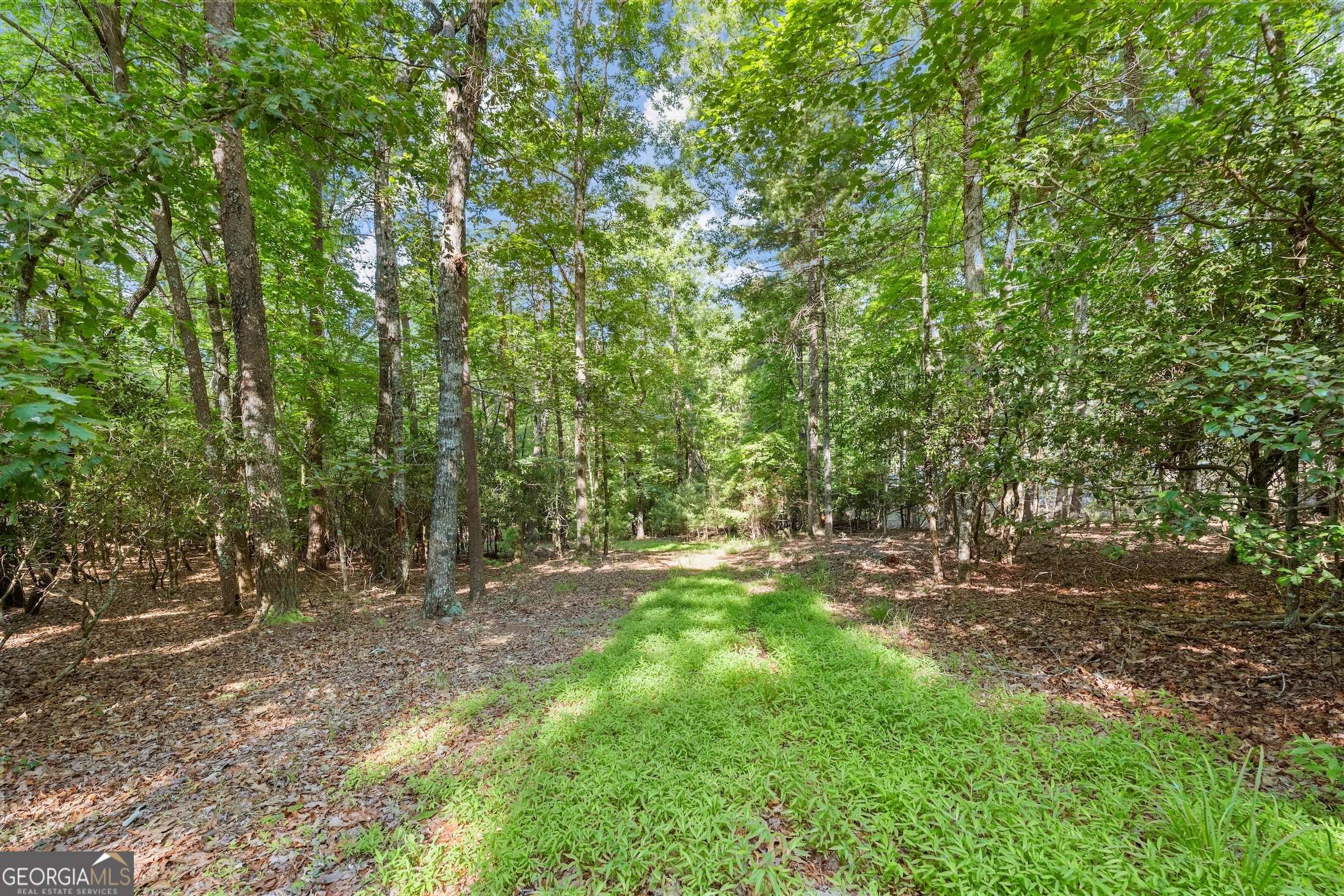 Cleveland, GA 30528,0 Mill Creek TRL #LOT 35