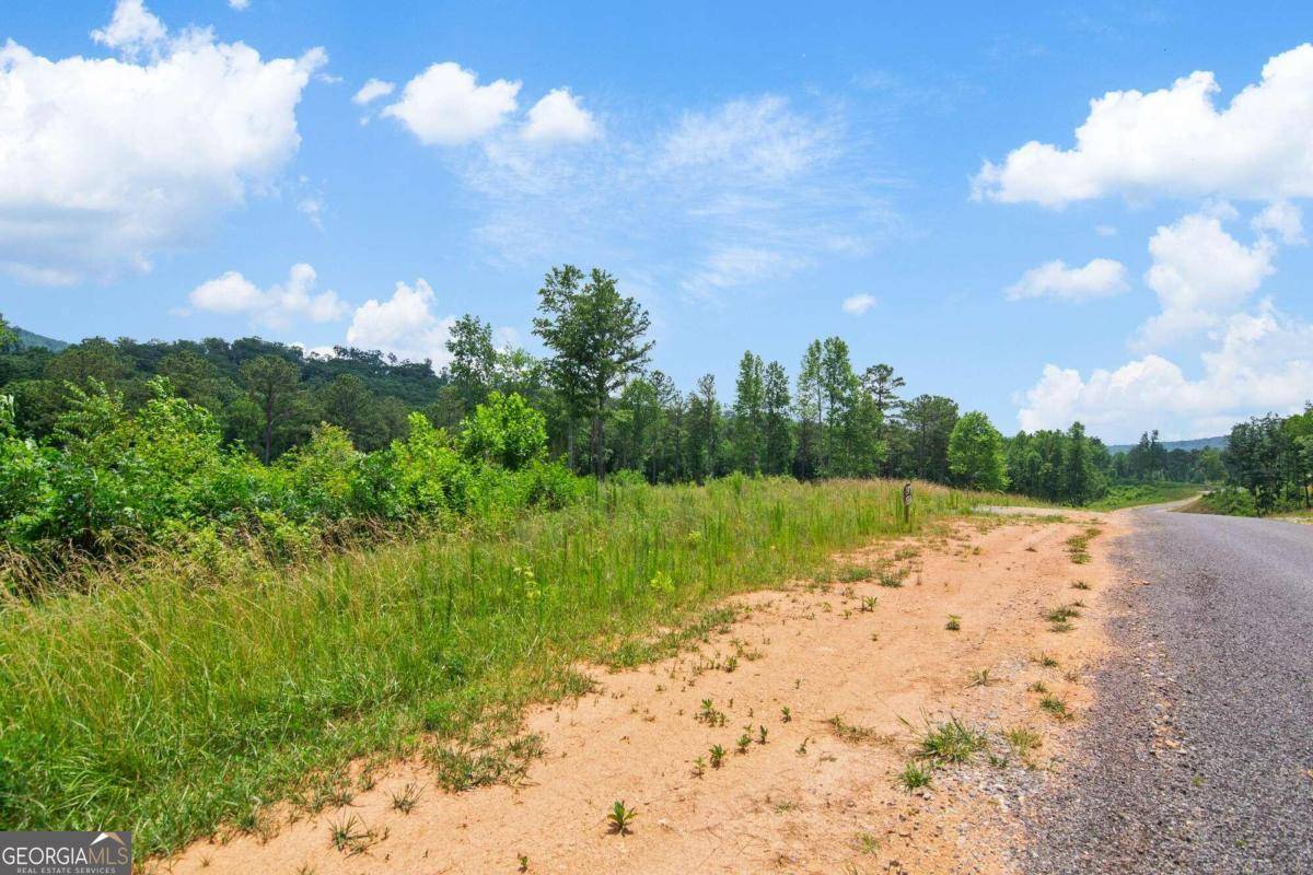 Talking Rock, GA 30175,LOT 197 Oak Park Dr