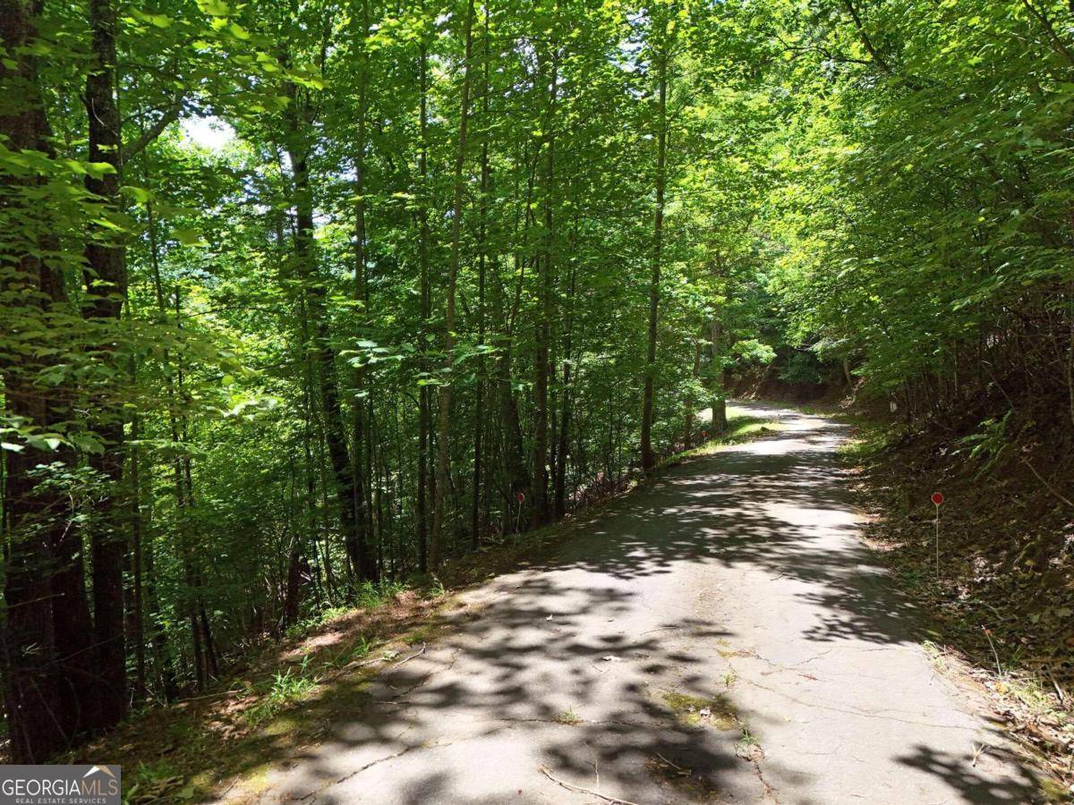 Hiawassee, GA 30546,LOT 29 Hidden Summit RD