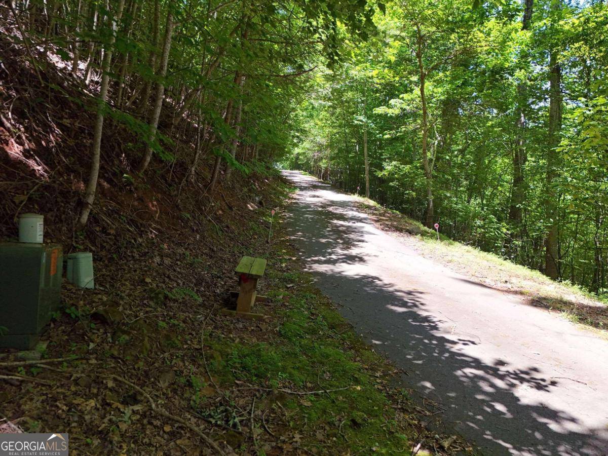 Hiawassee, GA 30546,LOT 29 Hidden Summit RD