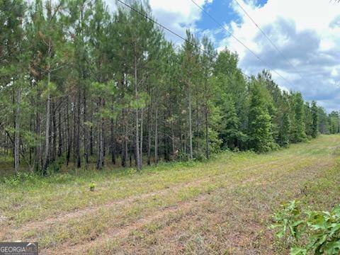 Eastman, GA 31023,0 Robert Rozier Rd Lot H