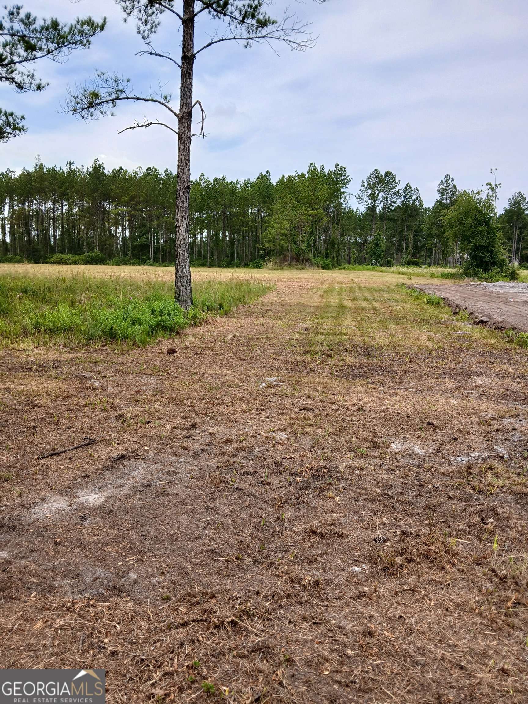 Folkston, GA 31537,219 LOT 7 Bright Leaf LN #LOT 7