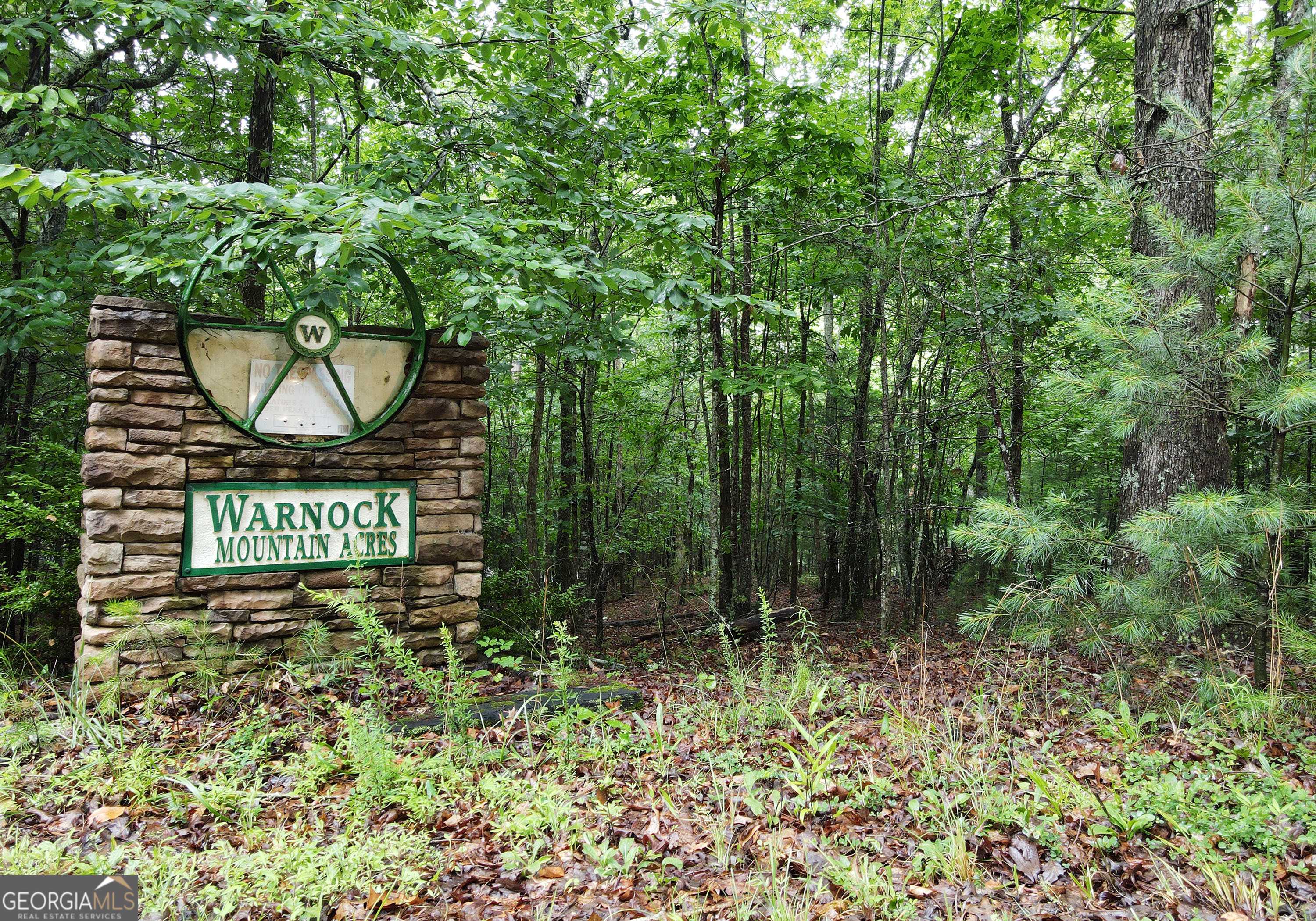 Blairsville, GA 30512,LL322 Warnock Mountain Acres Lane