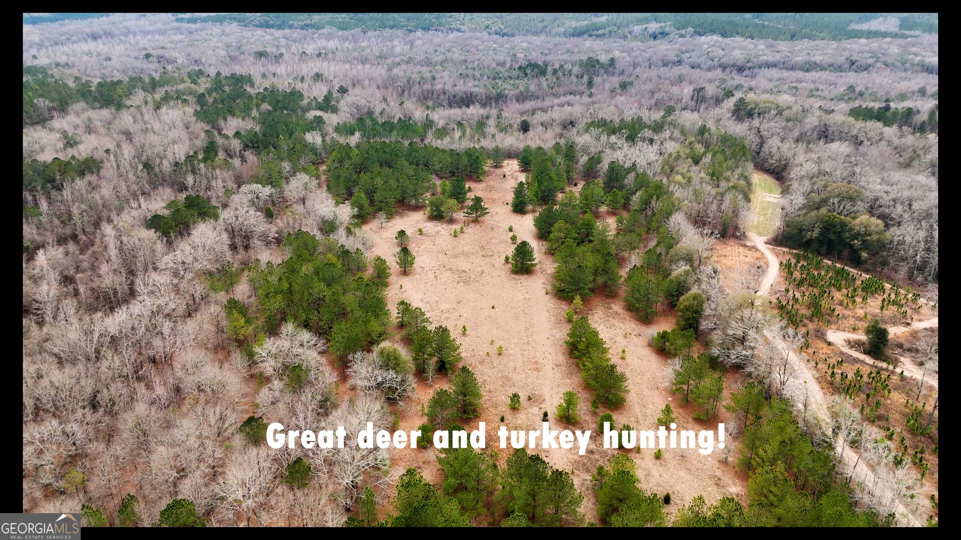 Ellaville, GA 31806,0 Taylor Cemetery RD #60.68 ACRES