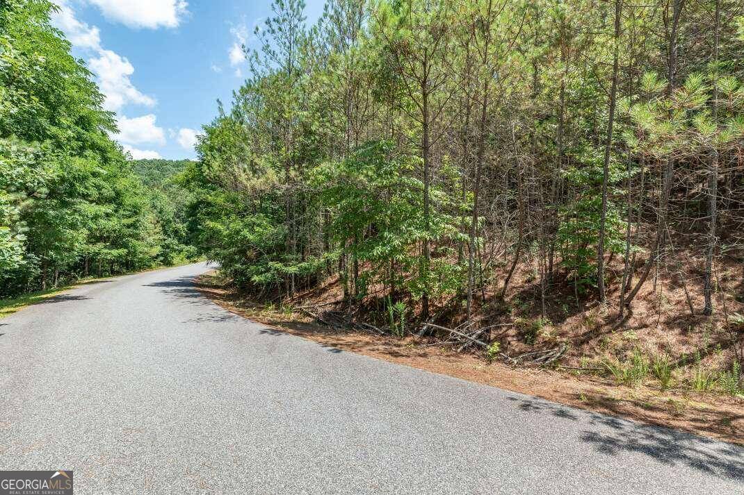 Blairsville, GA 30512,LOT 20 Pinehurst