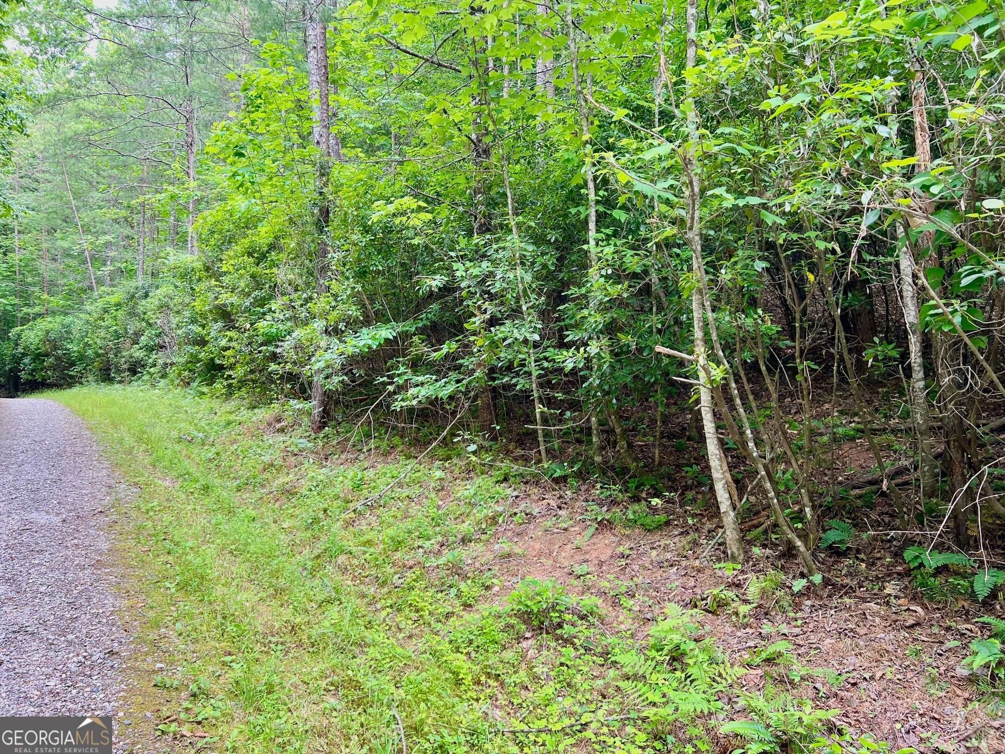 Blairsville, GA 30512,00 Emerald Pond RD