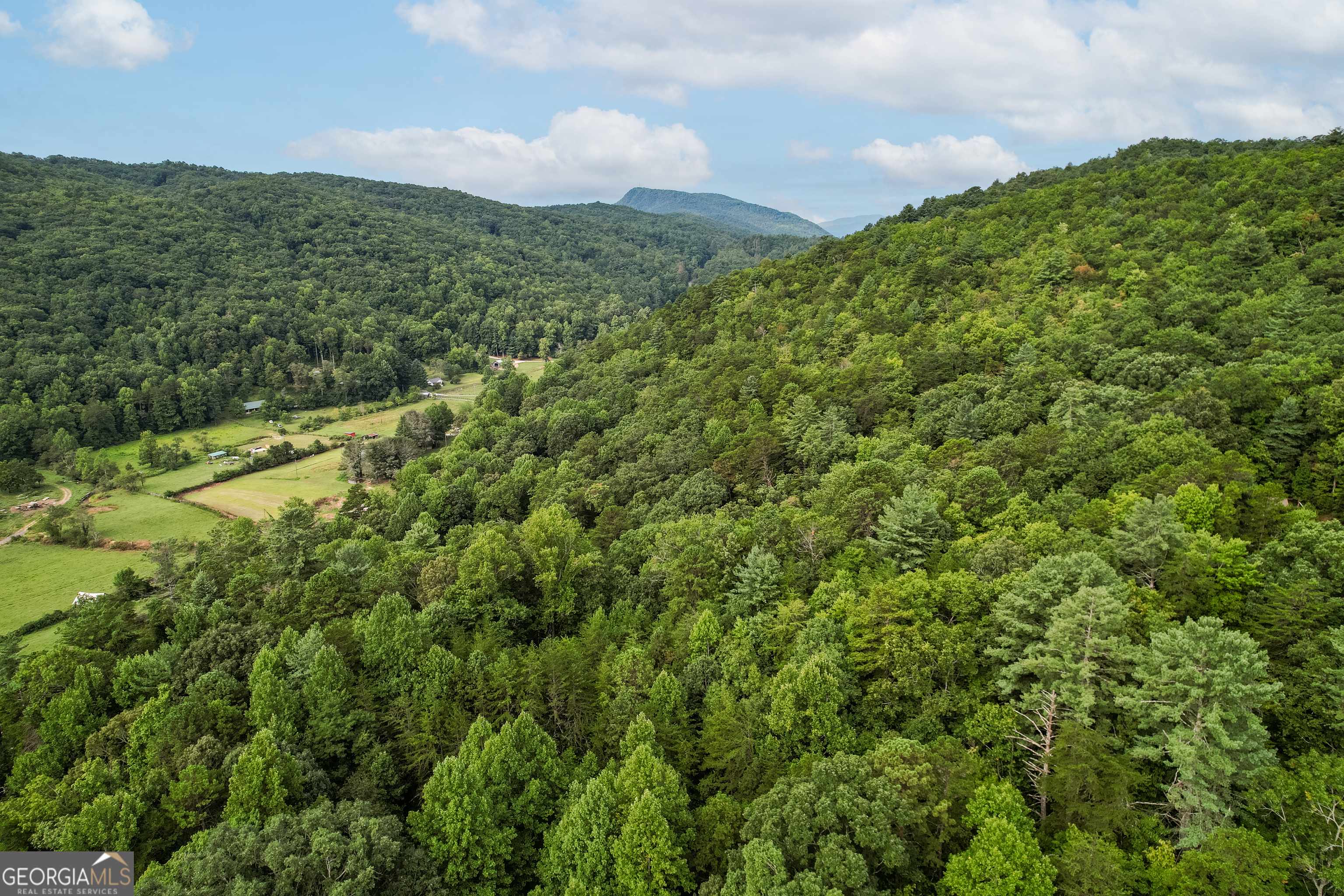 Clayton, GA 30525,3.15 ACRES Barnyard Lane