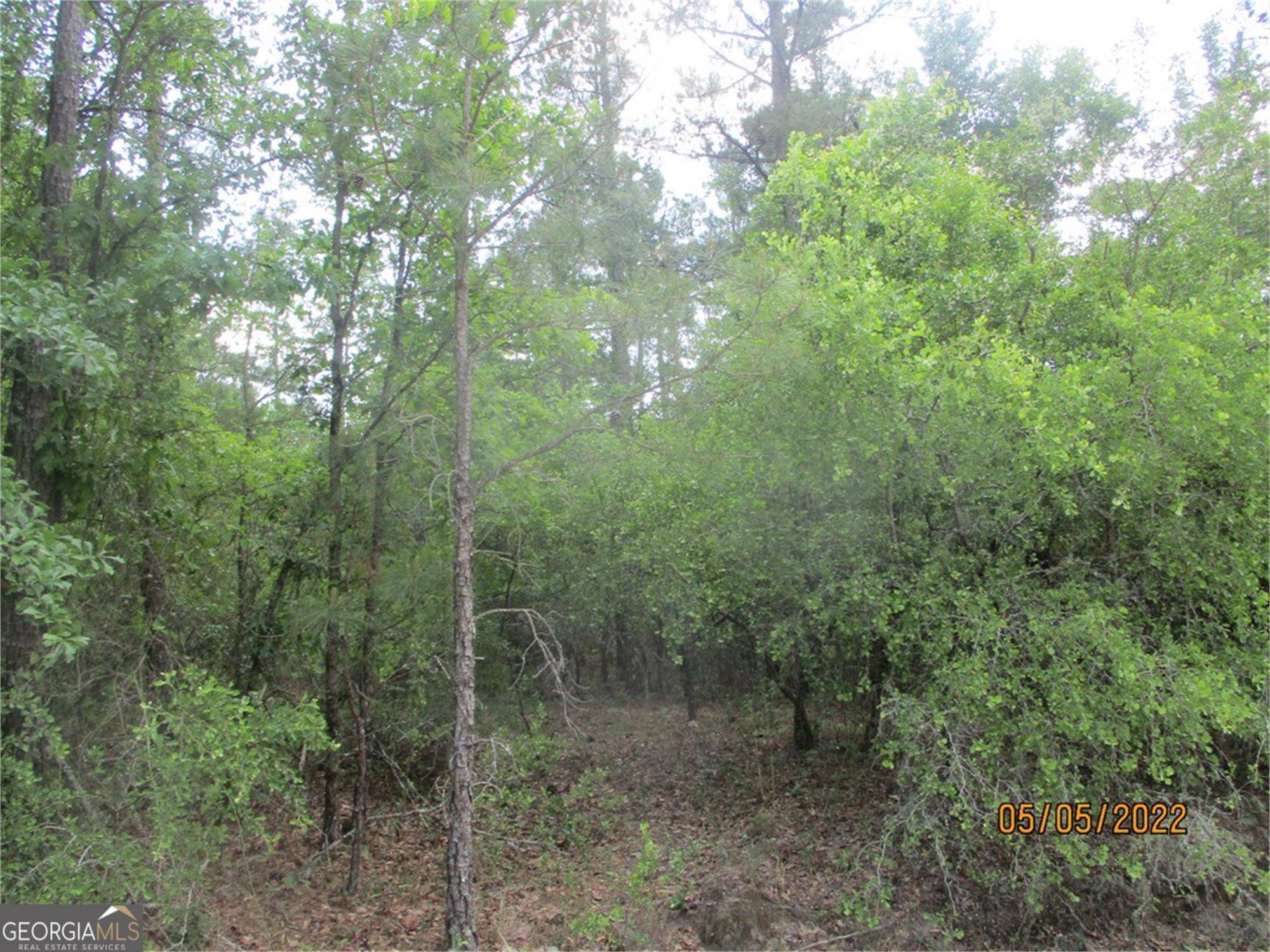 Byron, GA 31008,LOT 14 Orange RD