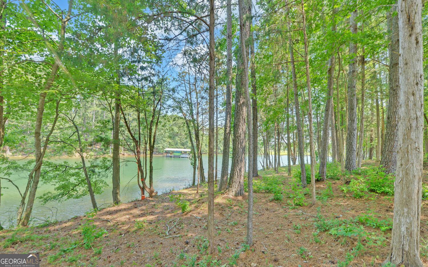 Hartwell, GA 30643,211 Lake Point RD