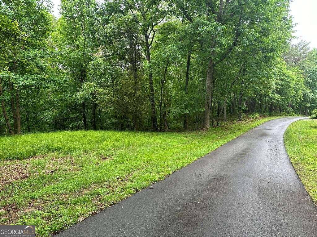 Ellijay, GA 30540,LOT 40 Timberwalk DR