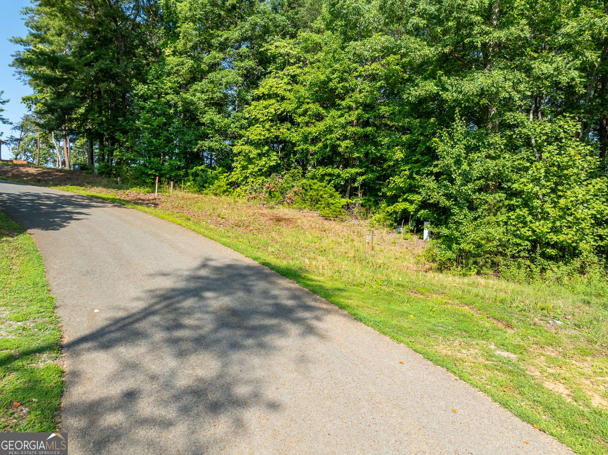 Blue Ridge, GA 30513,LOT 34 Winfield CIR