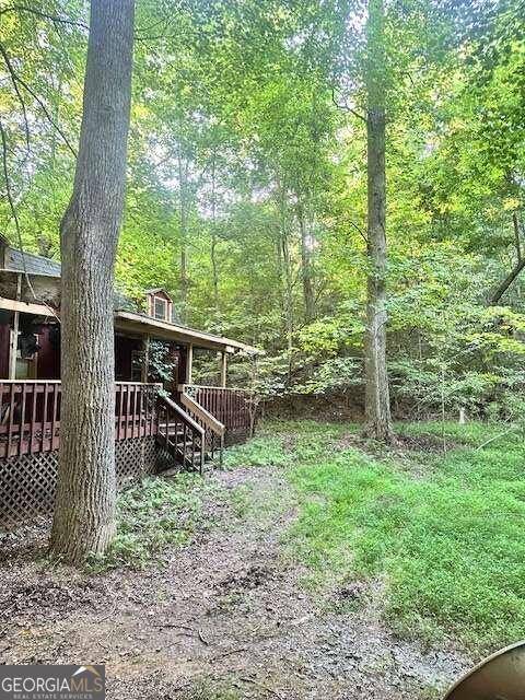 Ellijay, GA 30540,95 Maize CT